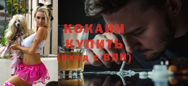 бошки Няндома