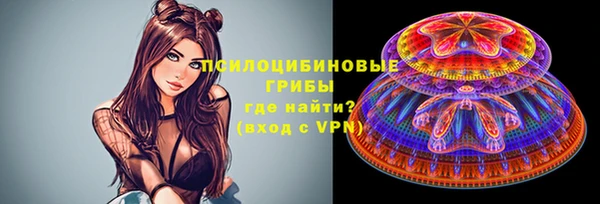 бошки Няндома