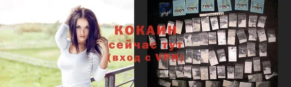 МДПВ Новозыбков