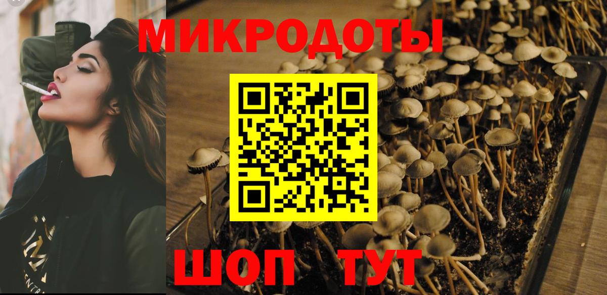 Псилоцибиновые грибы Cubensis  Псилоцибиновые грибы GOLDEN TEACHER  Вход с VPN  Волоколамск 